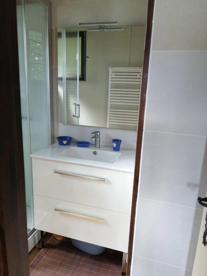 Haut De Chalet Le Bois De Cerf ليز أونجليه المظهر الخارجي الصورة